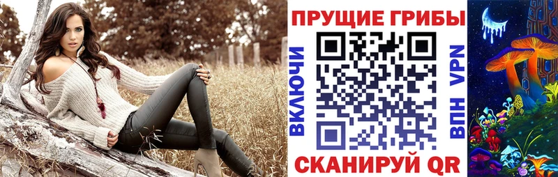 Купить закладки  Подольск  Псилоцибиновые грибы Magic Shrooms 