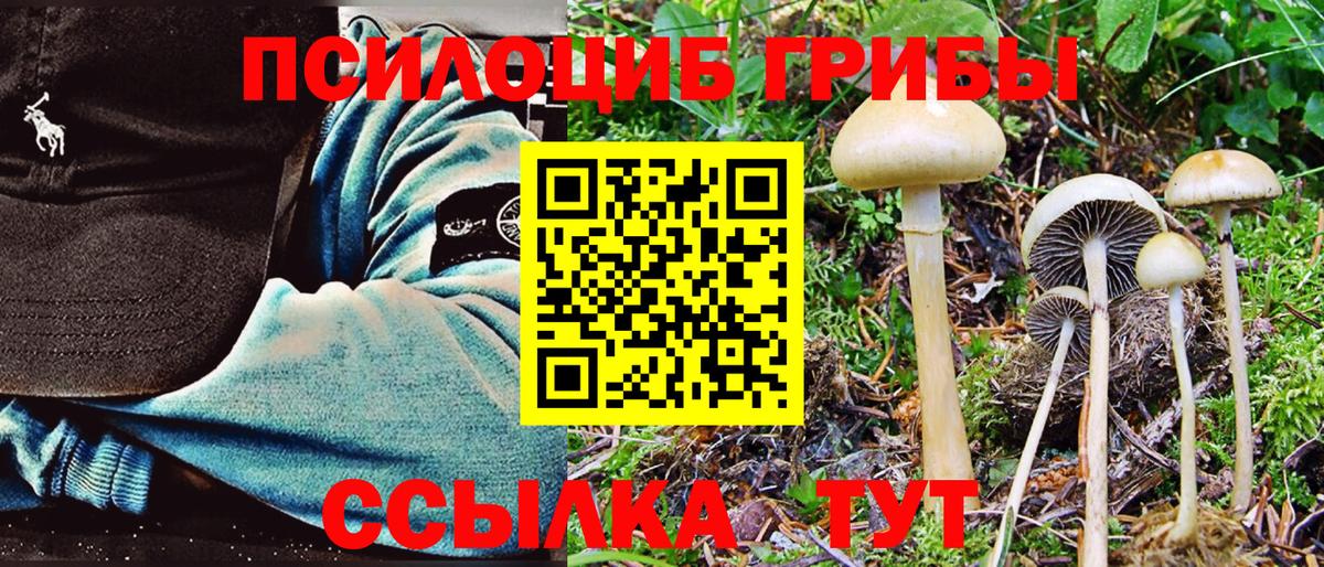 Галлюциногенные грибы GOLDEN TEACHER  Подольск  Псилоцибиновые грибы MAGIC MUSHROOMS 