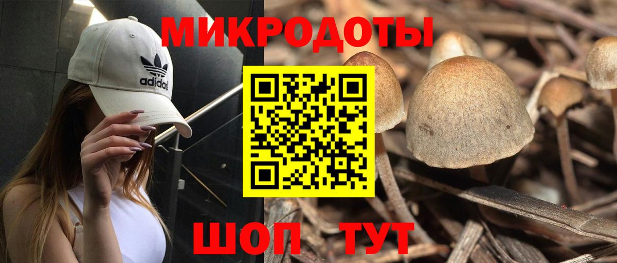 Подольск  Псилоцибиновые грибы Magic Shrooms  Вход с VPN  Псилоцибиновые грибы Psilocybe 